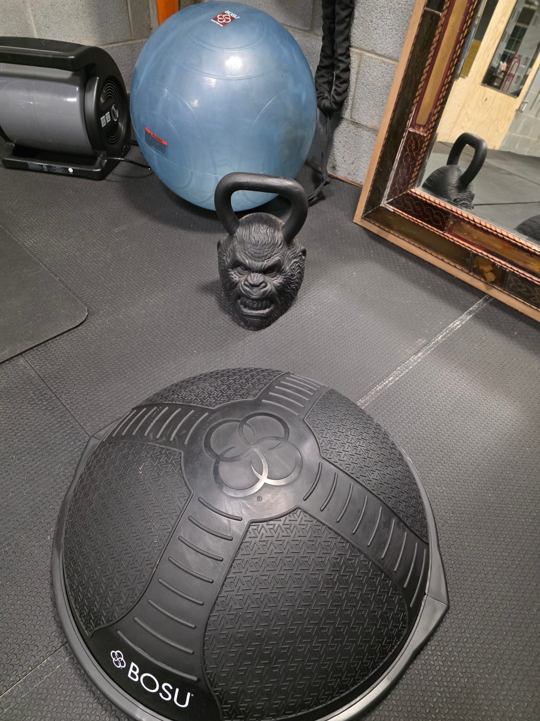 Customer photo review of NEXGEN™ PRO Balance Trainer