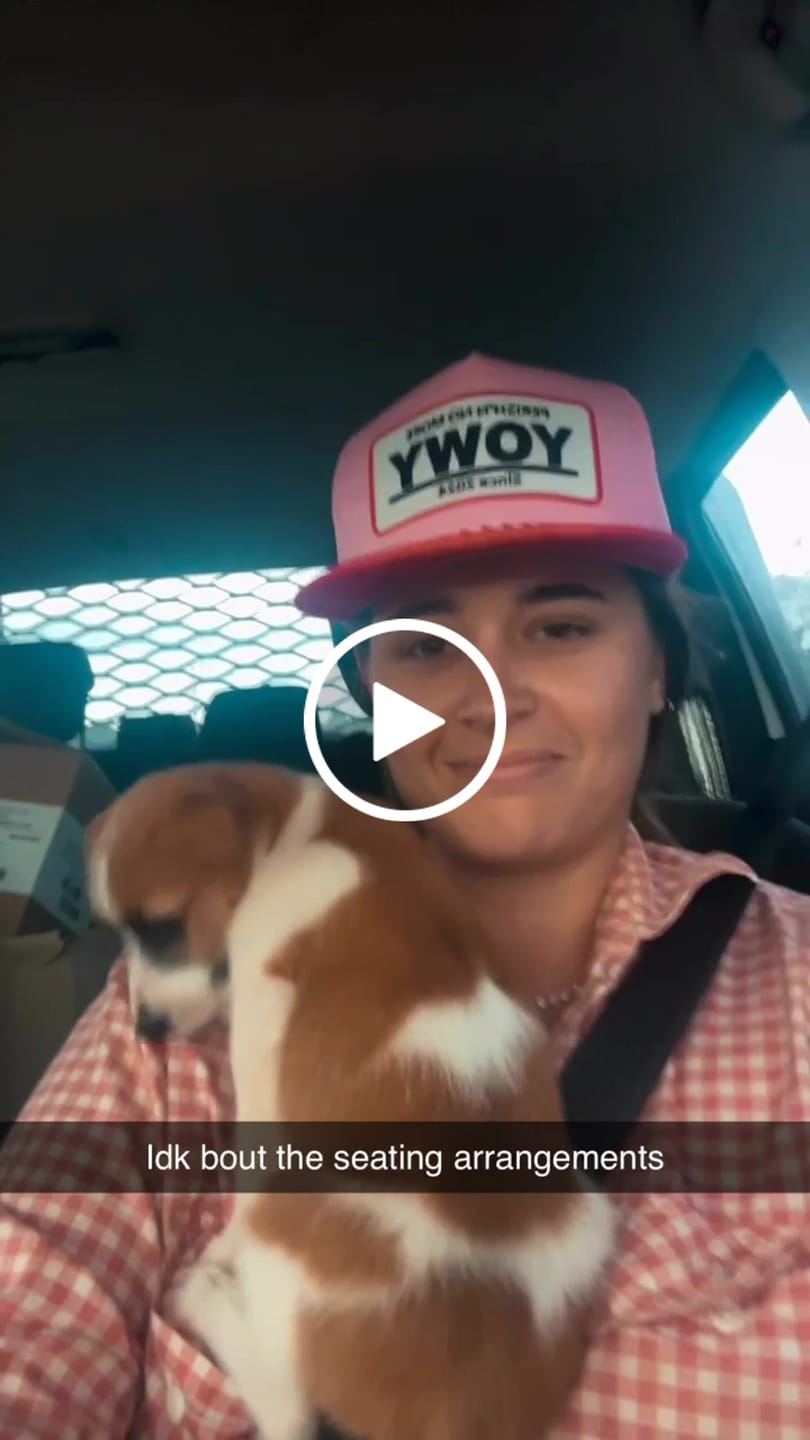 Customer video review of Shipping Insurance