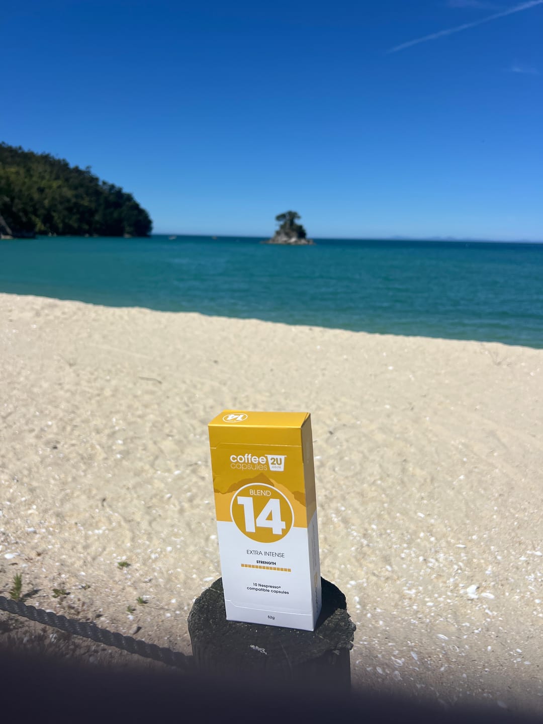Customer photo review of Blend 14