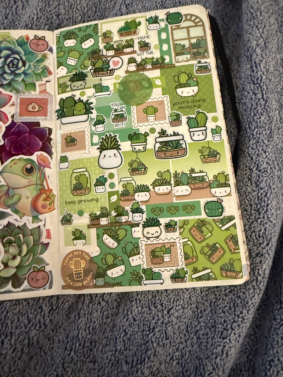 Customer photo review of Cozy Plants Box Set