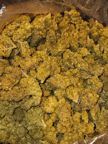 Customer photo review of Cheap THCA Flower Pound