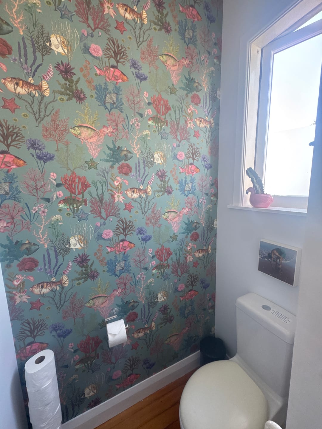 Customer photo review of Cora - Fish and Coral Wallpaper - Soft Aqua