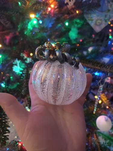 Customer photo review of Icicle Pumpkin