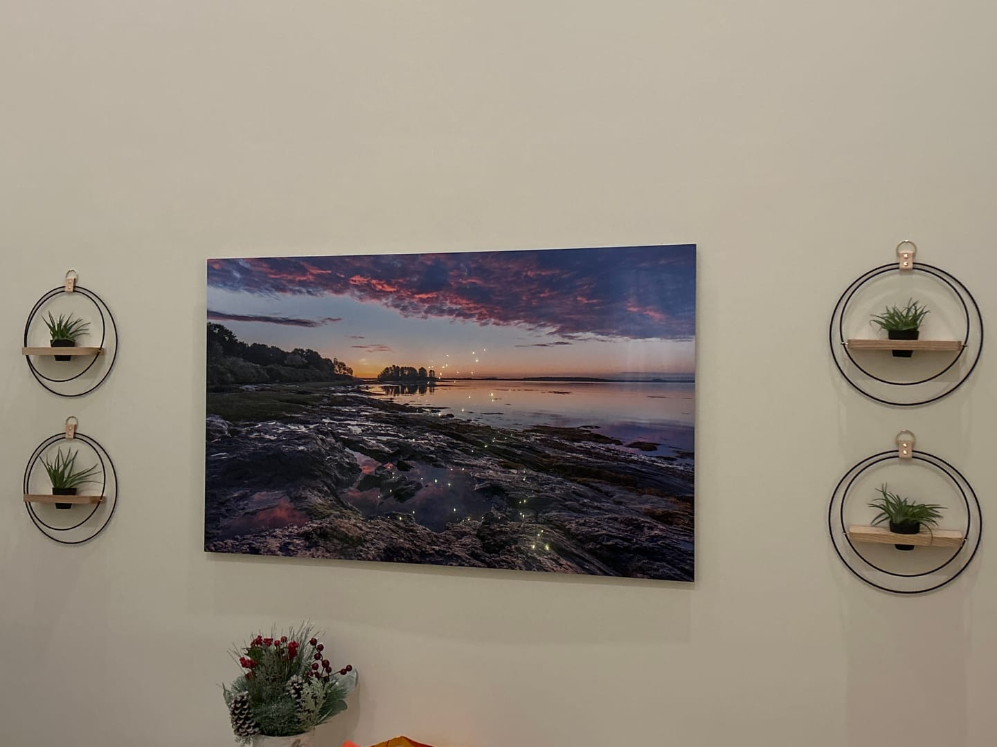 Customer photo review of Air Plant Shelf + Pot Duo
