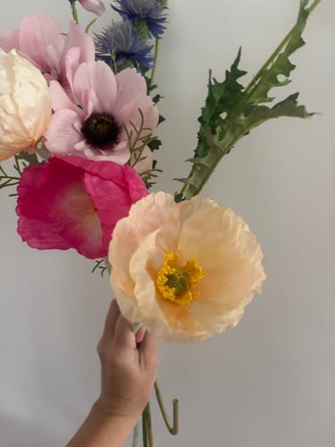 Customer photo review of Peach Iceland Poppy