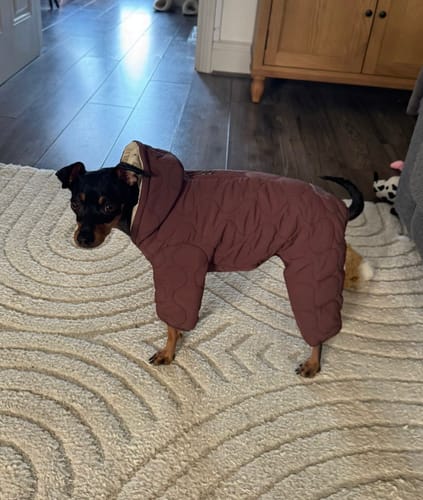Customer photo review of Chocolate | The Capsule Quilted Bodysuit