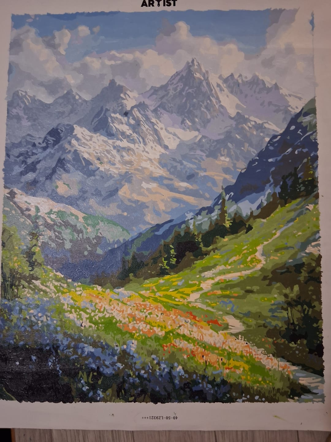 Customer photo review of Mountain Path