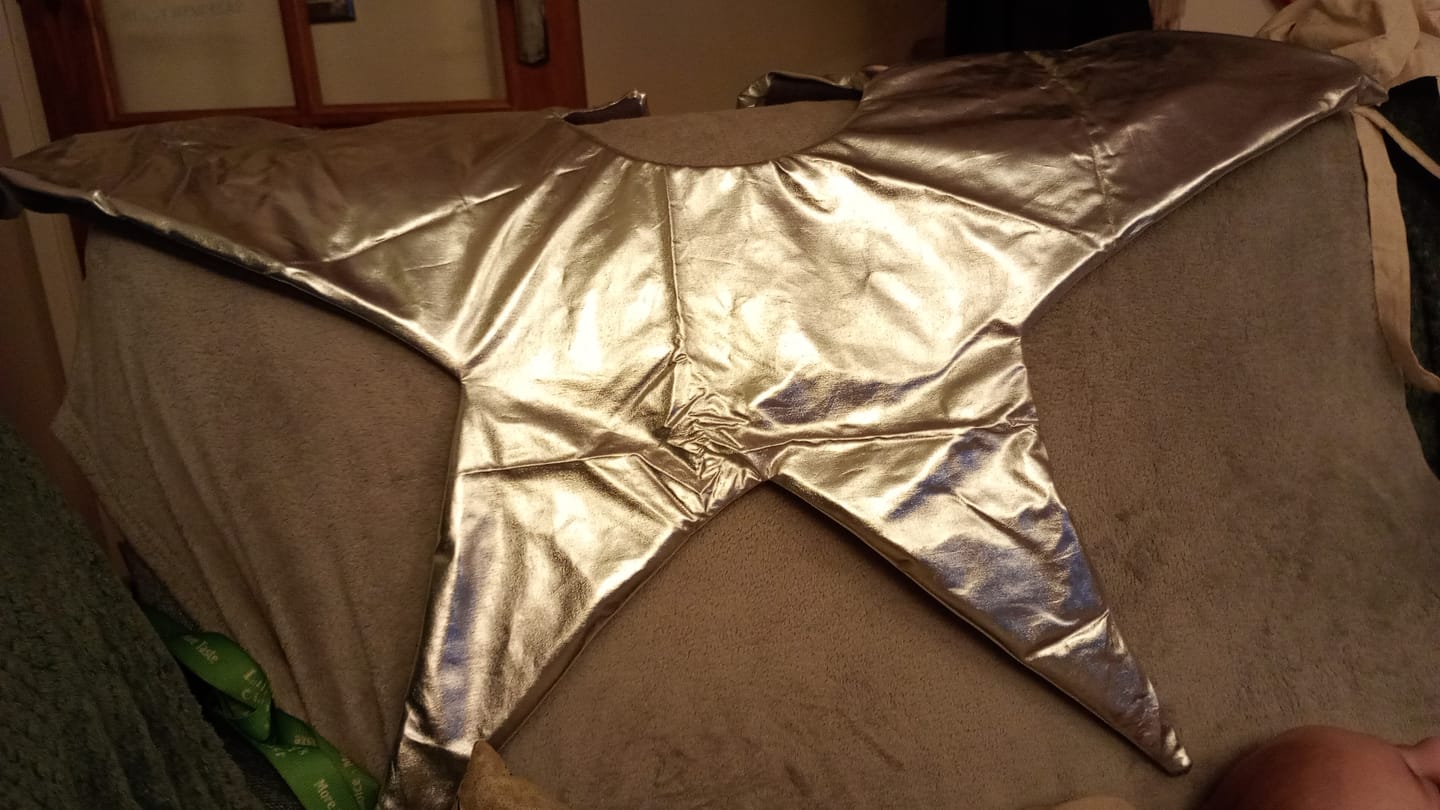 Customer photo review of Plain Emperor Foil Fabric