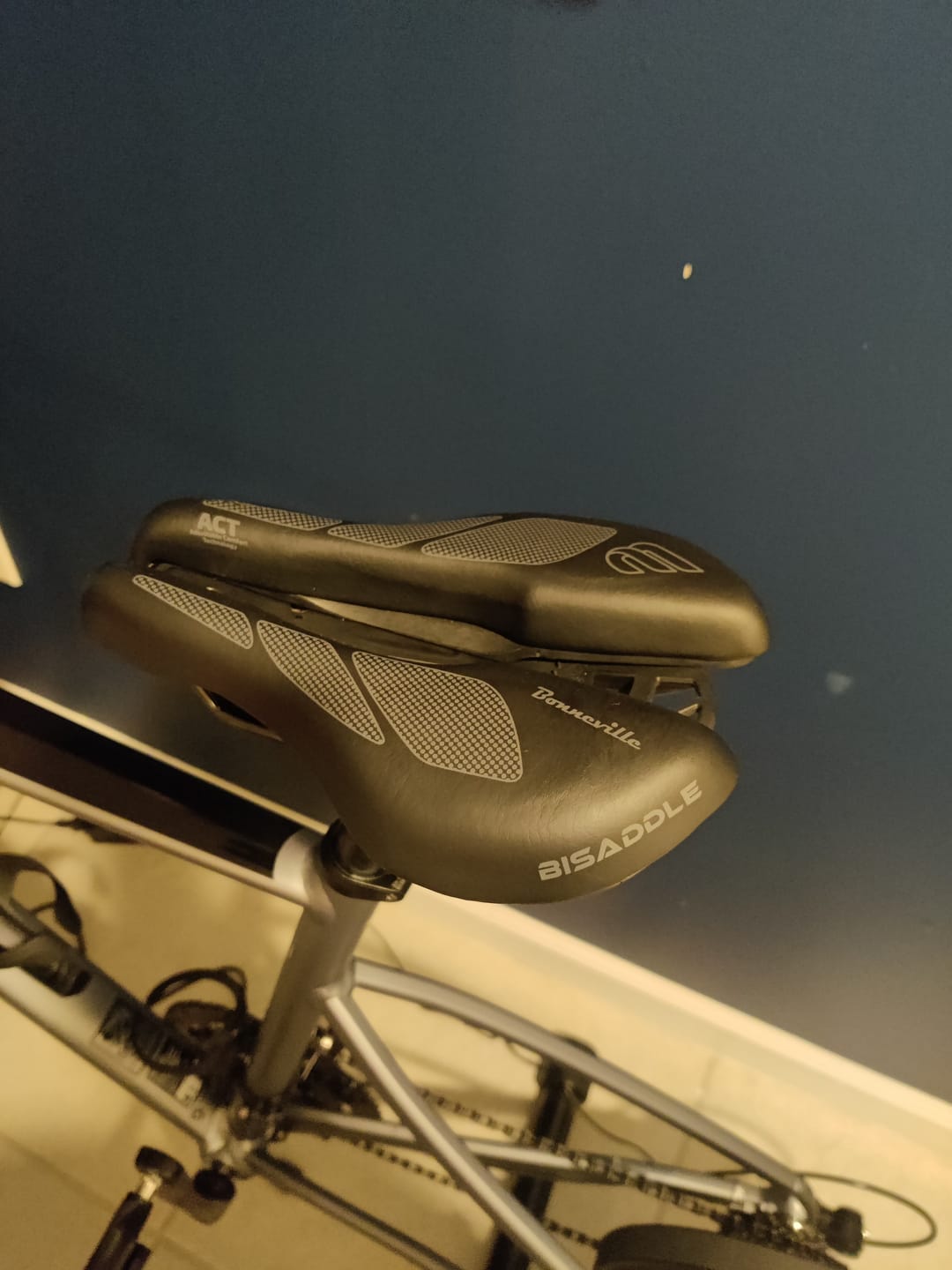 Customer photo review of Bonneville Distance