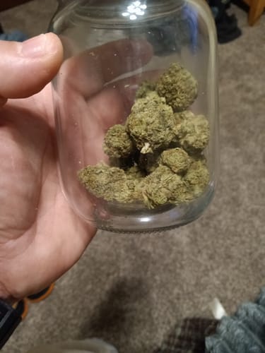 Customer photo review of Gorilla Glue - 28 Grams - Hybrid