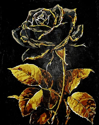 Customer photo review of Noir Bloom
