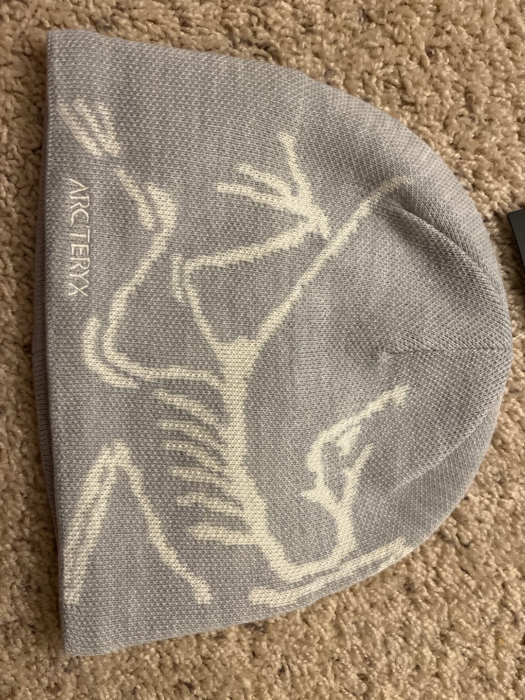 Customer photo review of Arc'teryx Bird Head Toque