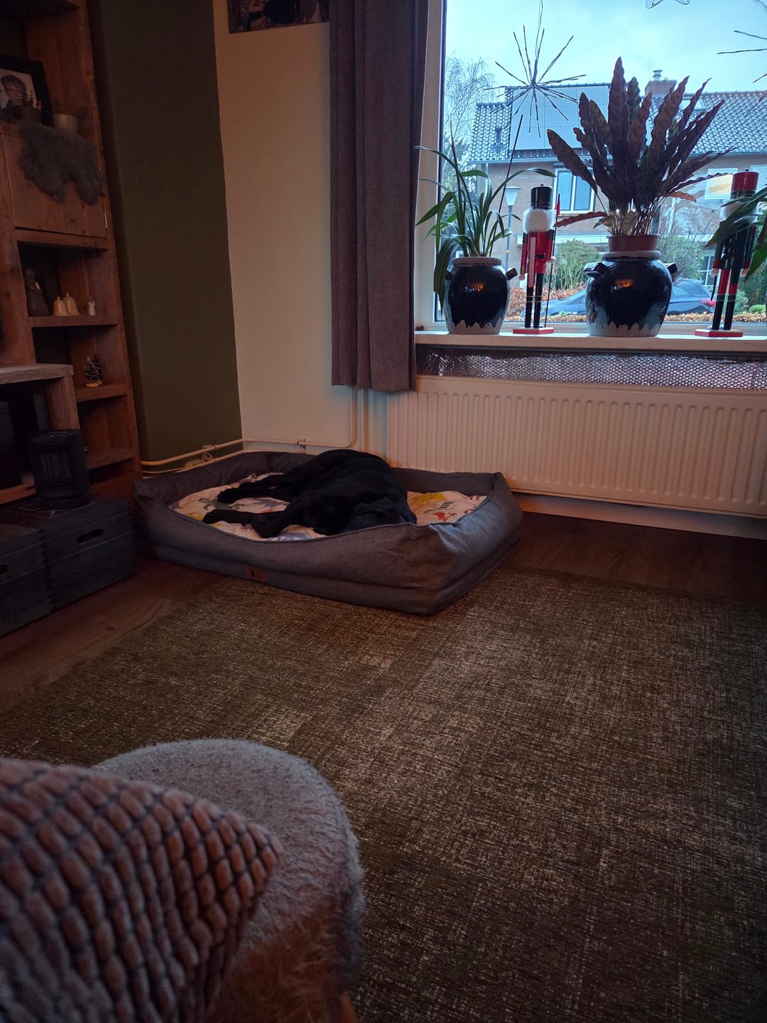 Customer photo review of Pet Perfect Hondenmand - Orthopedisch - Afritsbaar - Grijs