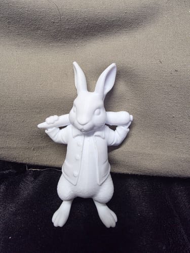 Customer photo review of PETG