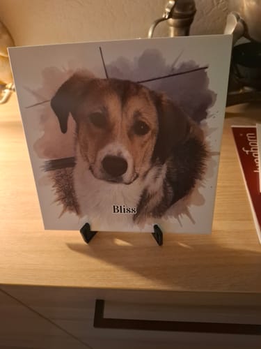 Customer photo review of Tegel met Gepersonaliseerd Huisdier Portret in Aquarelstijl