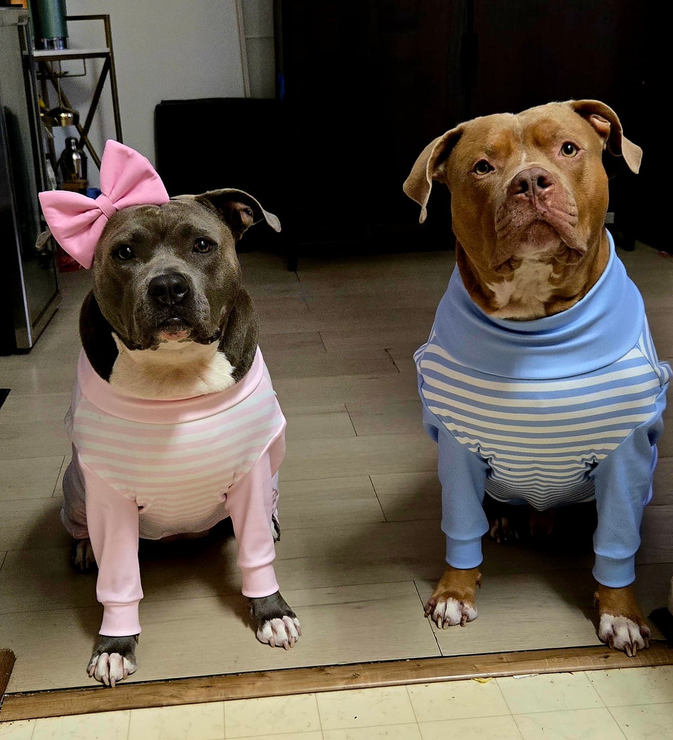 Customer photo review of Dog Pajama - Pink Stripes
