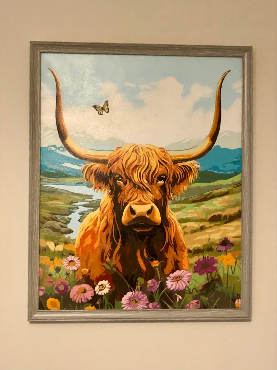 Customer photo review of Highlands Cow