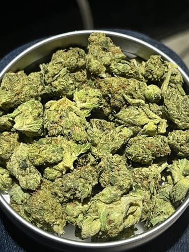 Customer's close-up of the Bubba Kush Smalls, showing green buds filling a round tin.