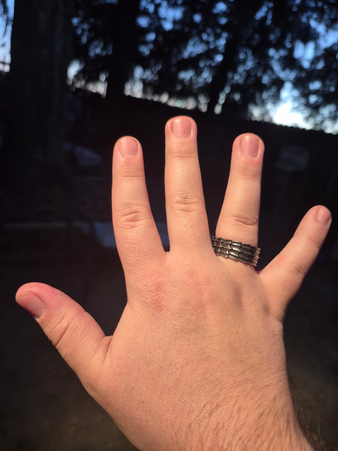 Customer photo review of ARMOR