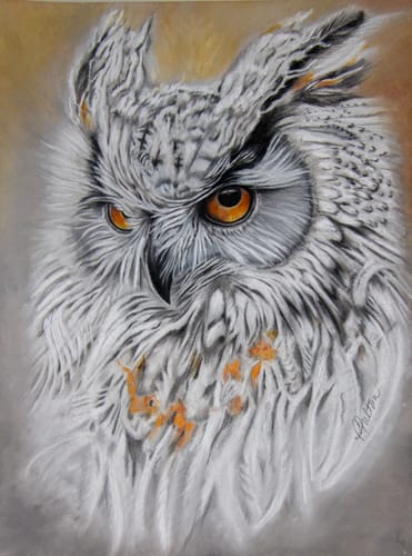 Customer photo review of 11x14 Giclee Fine Art Prints