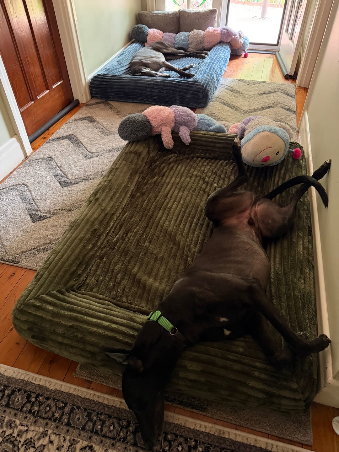 Customer photo review of Dune Plush EasyFit Cover