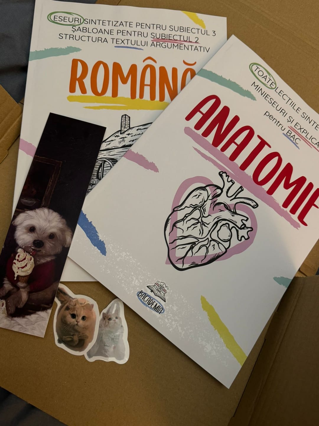 Customer photo review of Pachet Bacalaureat (Română + Anatomie clasele XI-XII) Bacademia