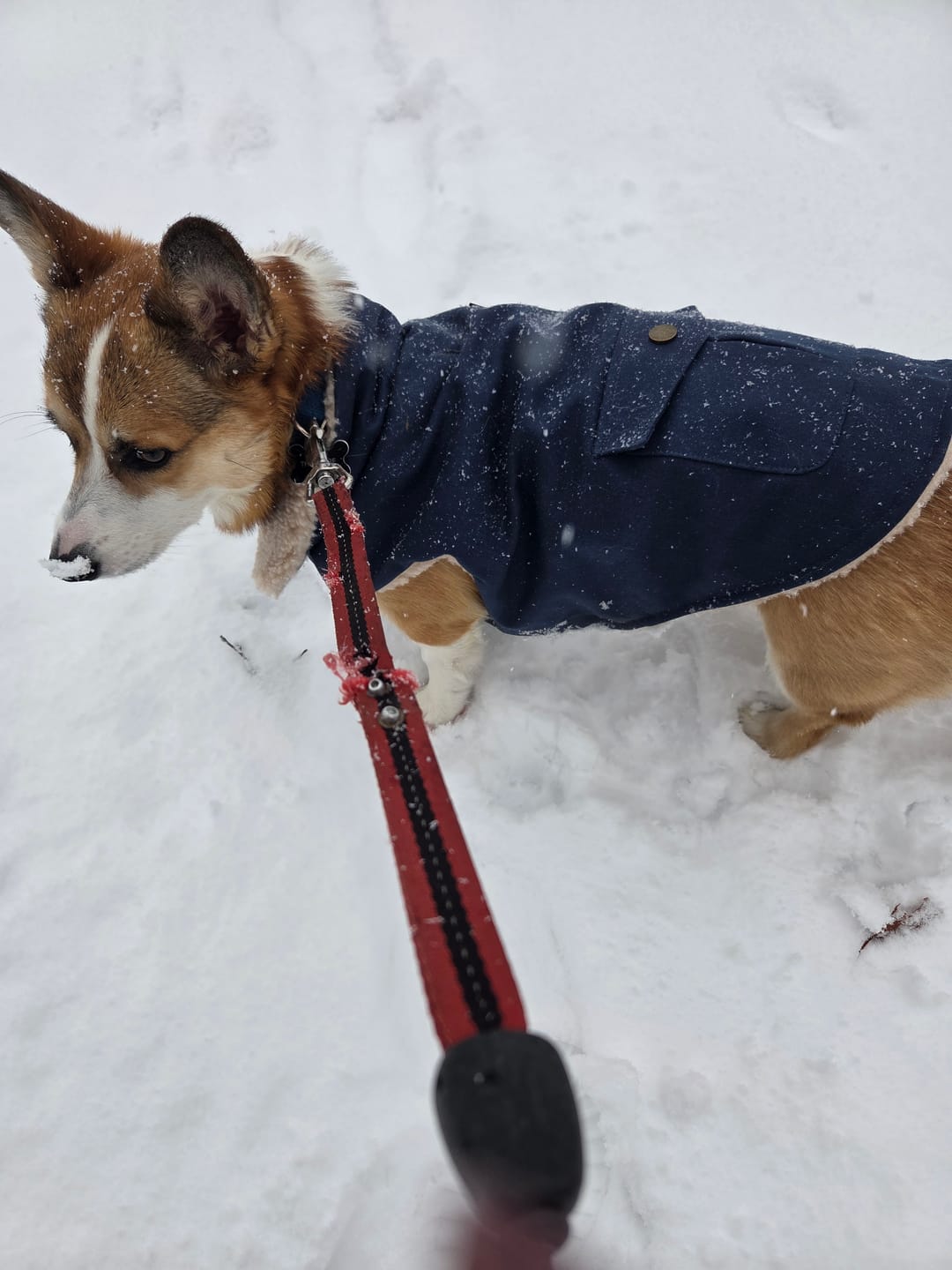 Customer photo review of Workdog Insulated Utility Jacket Jackets