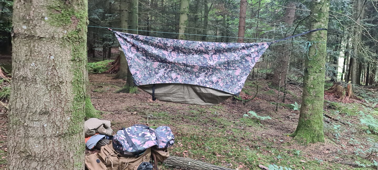 Customer photo review of Haven Safari