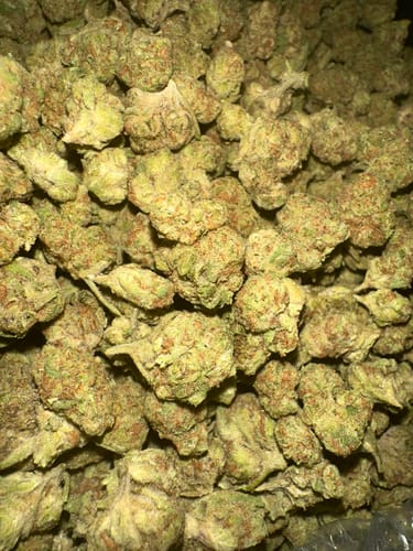 Customer photo review of Jungle Cake - Greenhouse THCA (Smalls)