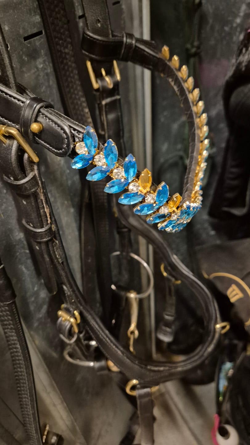 Customer photo review of Iris browband