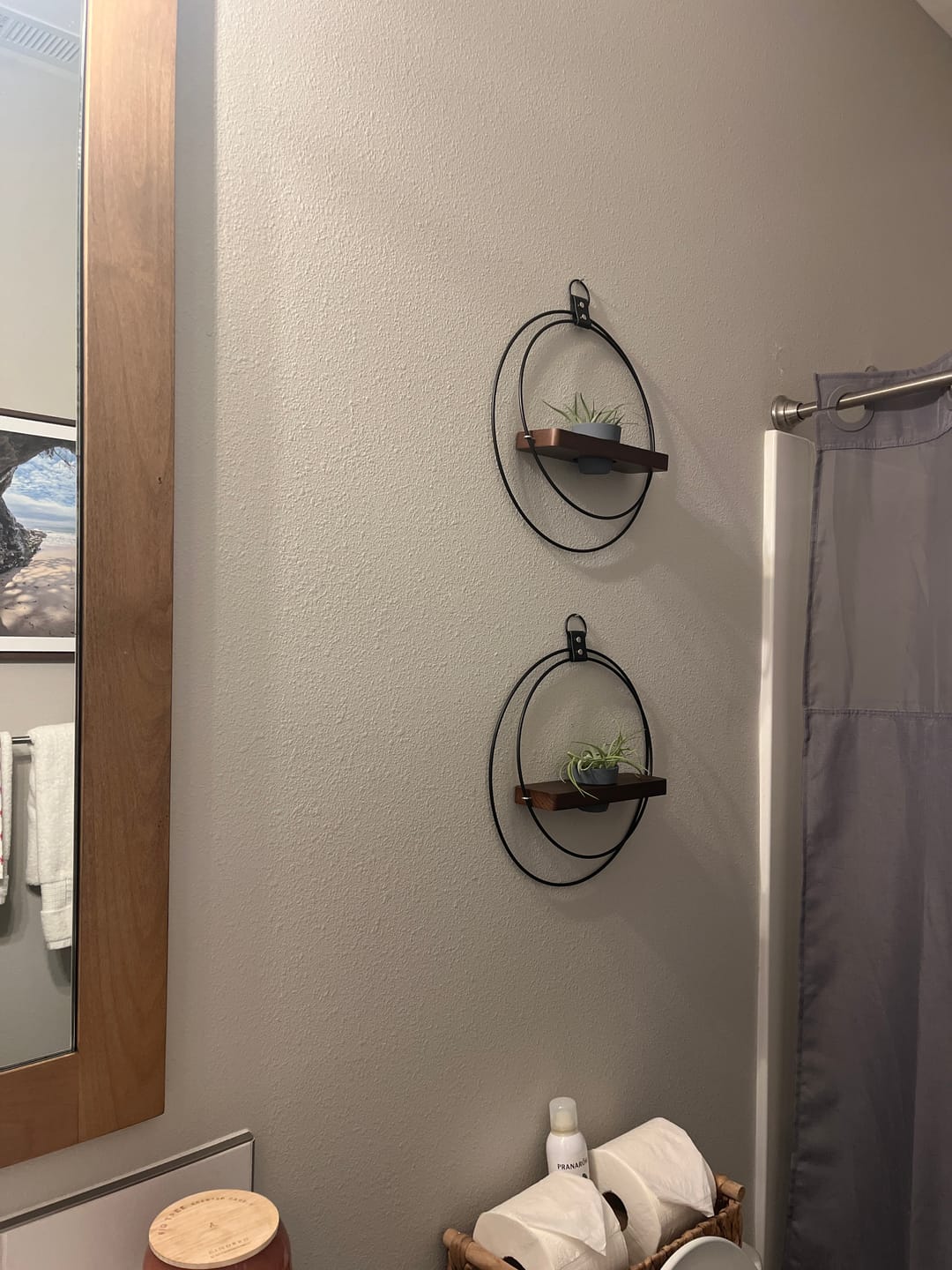 Customer photo review of Air Plant Shelf + Pot Duo