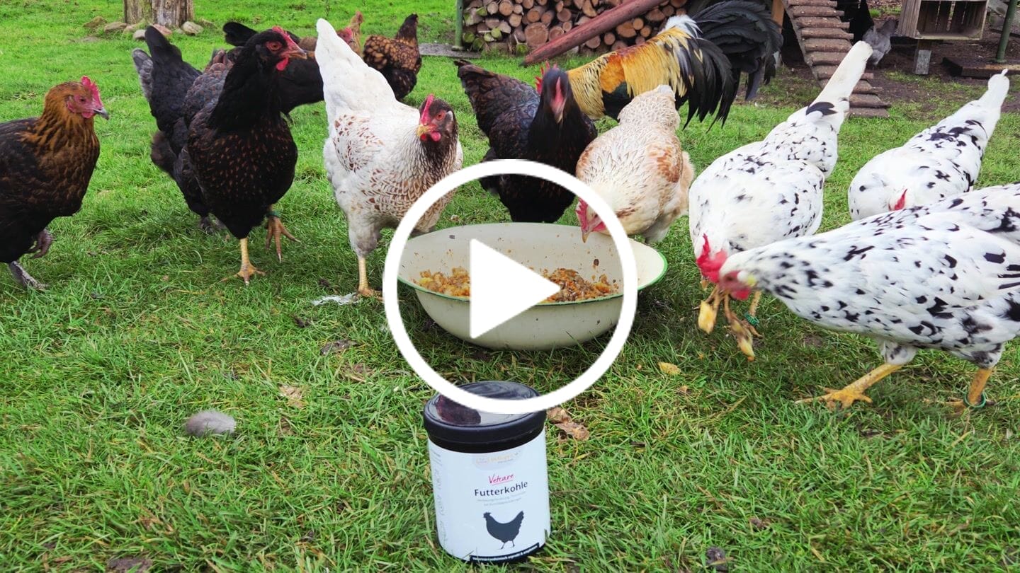 Customer video review of Vetcare Futterkohle - bei Durchfallerkrankungen, als Toxinbinder & zur Verdauungsförderung