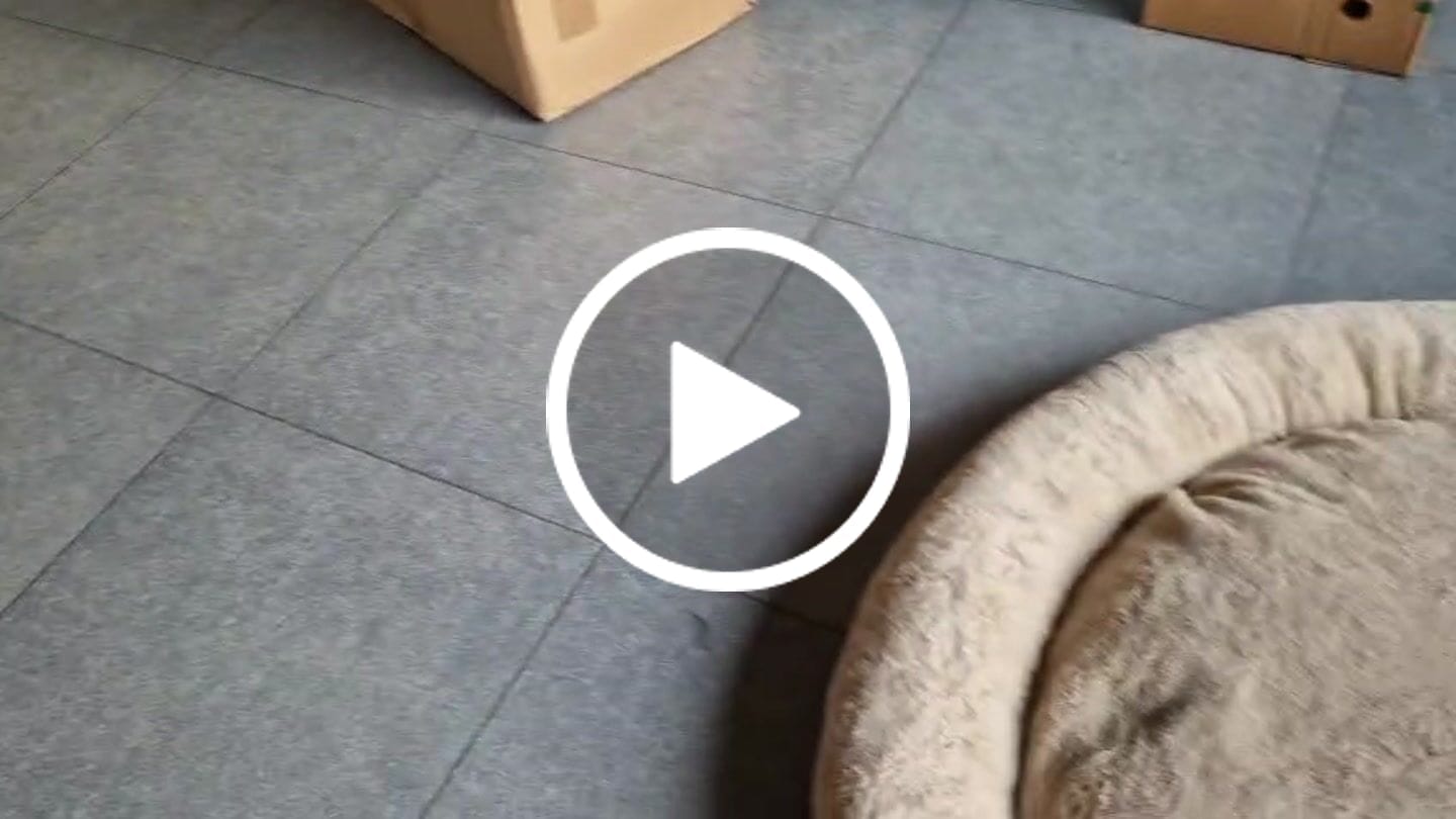 Customer video review of Pet Perfect Hoes (ZONDER VULLING) voor Orthopedische Donutmand - ZONDER VULLING