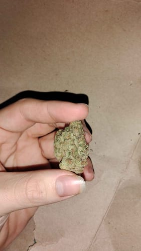 Customer photo review of Tiger's Milk THCA Flower