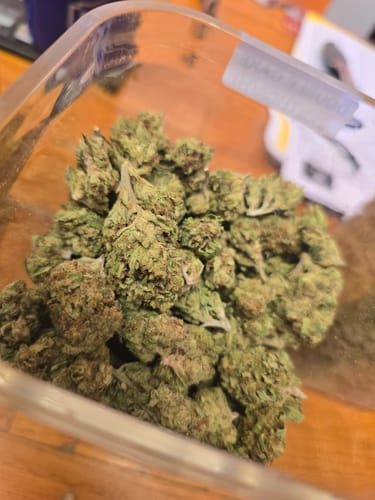 Customer photo review of Mushroom Cake - Light Dep (Full Size)