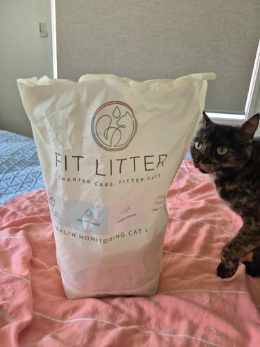 Customer photo review of 1 Month Supply - 1 Cat - One-Time Purchase
