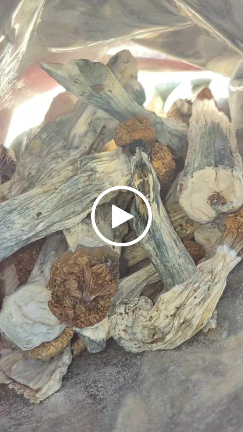 Customer video review of Non Detect Mushrooms