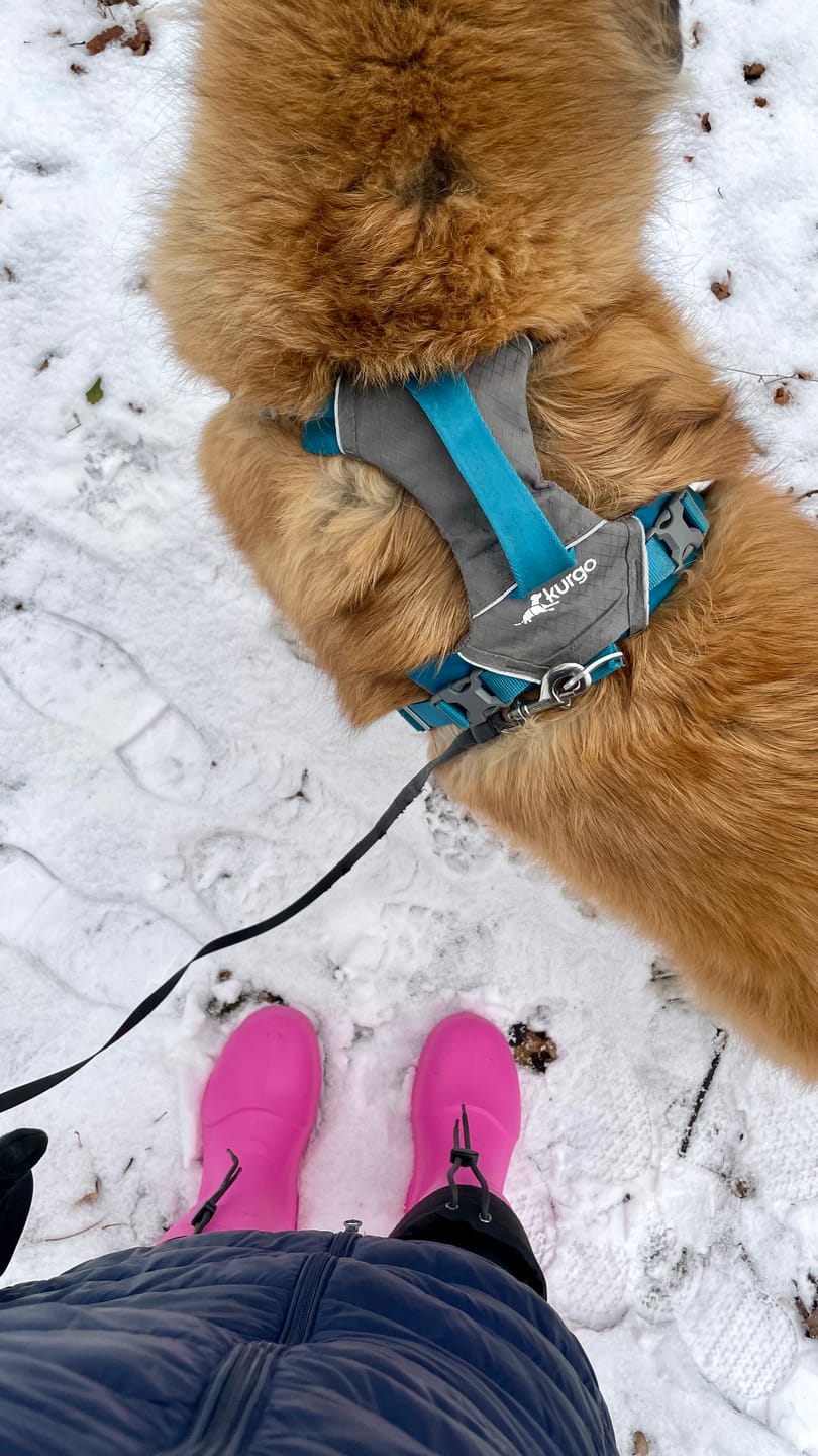 Customer photo review of NISEKO 3.0