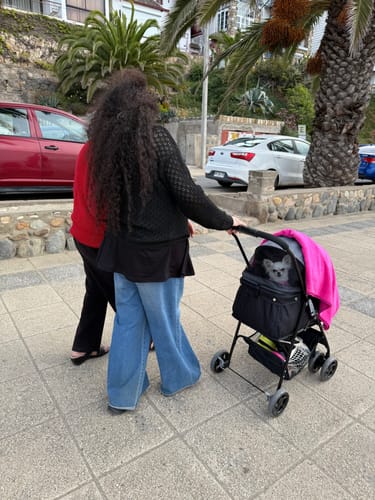 Customer photo review of Coche Mascotas Plegable Easy Perro Gato Negro BeePet by Bebesit