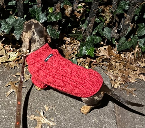 Customer photo review of Fisherman Sweater