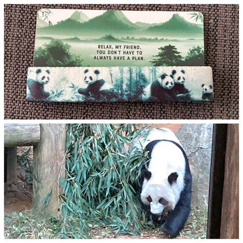 Reviewer's collage showing the panda-themed Wandering Spirit Bracelet on its packaging and a photo of a panda at a zoo.