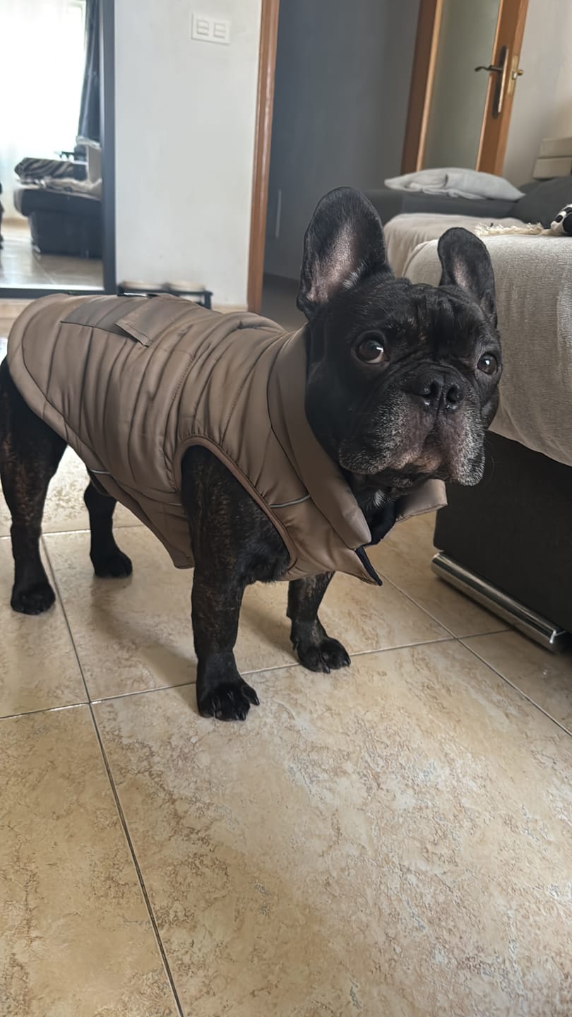 Customer photo review of WarmShield Water-Resistant Jacket - Tan