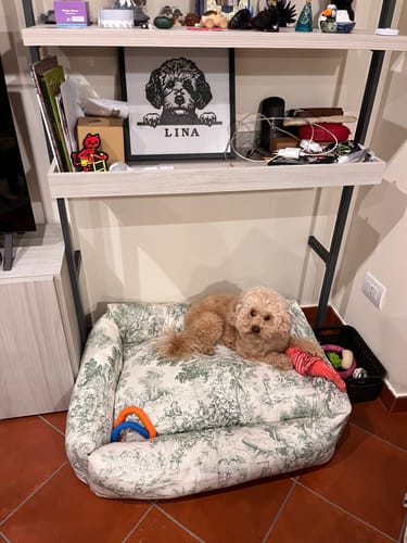 Customer photo review of Divanetto Panama Premium Toile de Jouy Verde Salvia