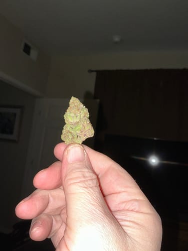 Customer photo review of Acapulco Gold THCA Flower Exotic Sativa 10g