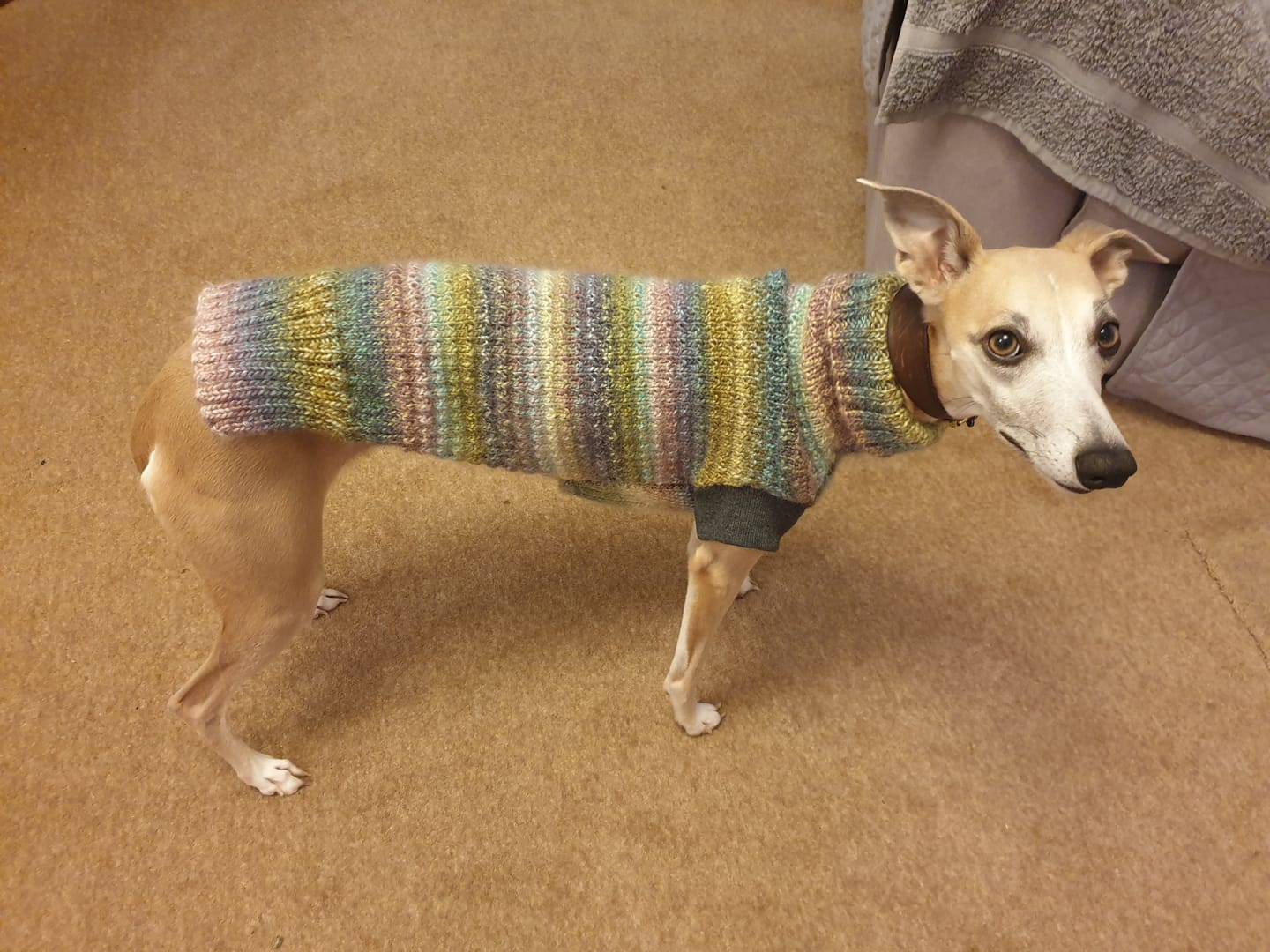 Customer photo review of Ribbed Tubular Cuffing Fabric