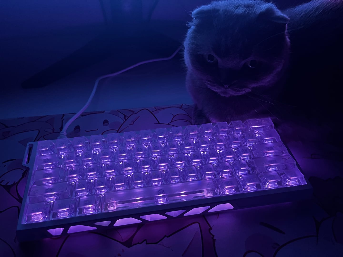Customer photo review of FGG Madlions MAD Light 60HE Alüminyum Klavye (Manyetik Switch / HE)