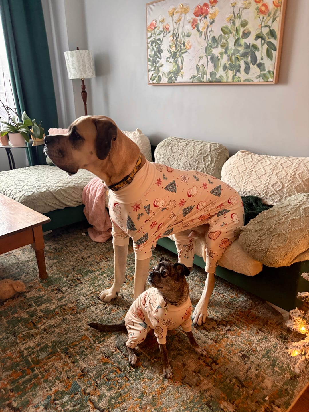 Customer photo review of Dog Christmas Pajama - Frosty Night