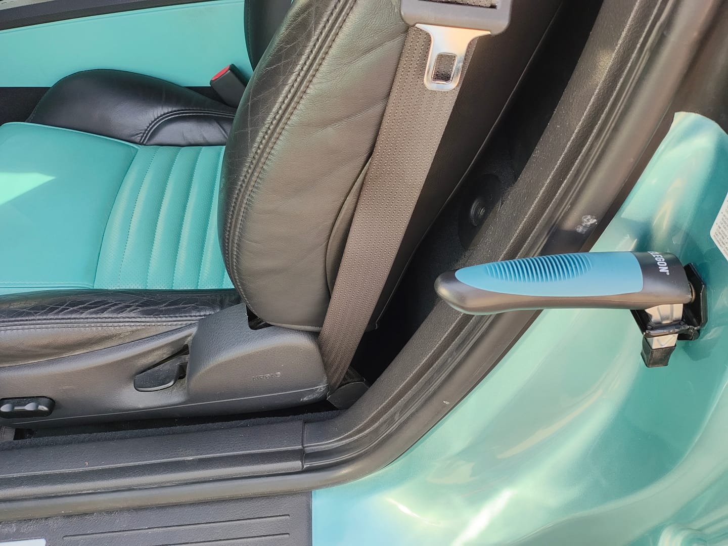 Customer photo review of Car Cane Handle
