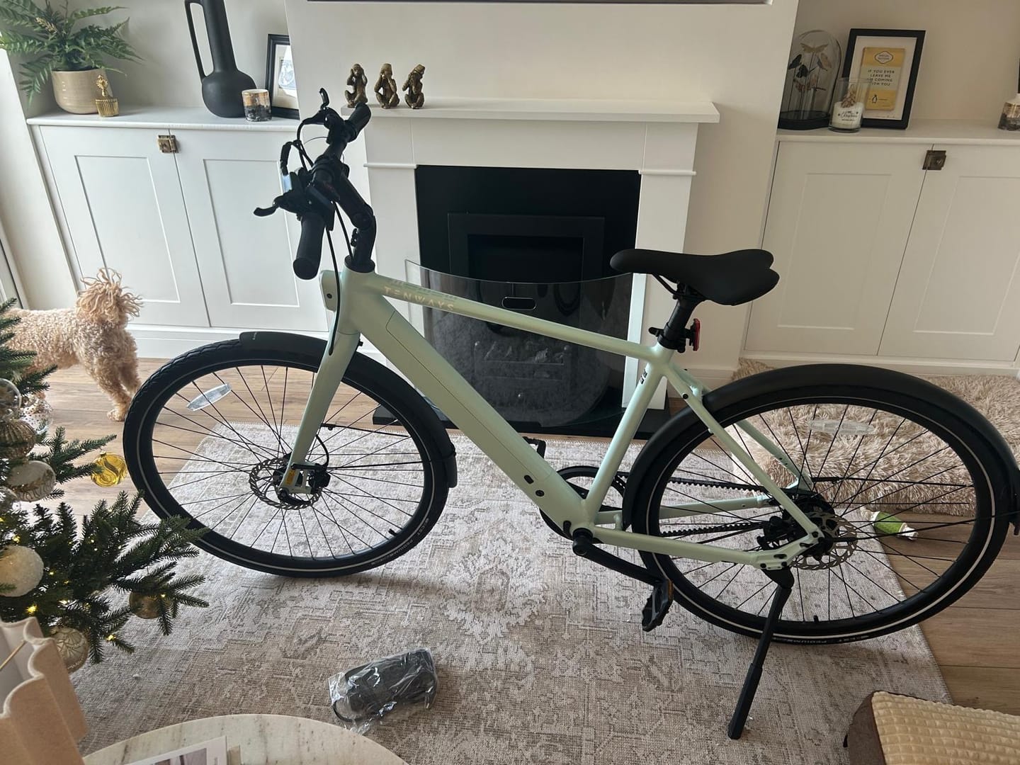 Customer photo review of TENWAYS CGO600 Pro | Plus
