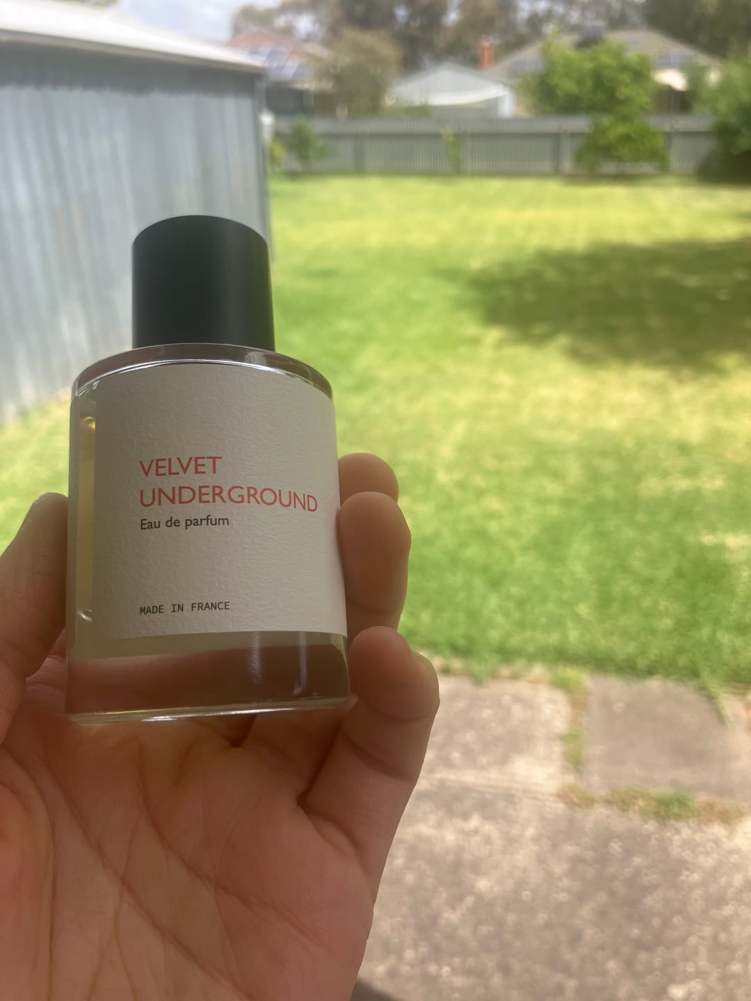 Customer photo review of Velvet Underground